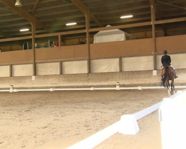 Reitturnier Urtenen-Schönbühl 2021