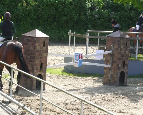 Reitturnier Billigheim 2023