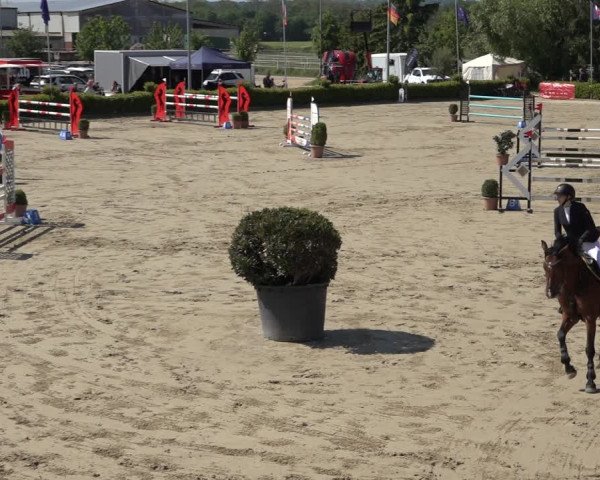 Reitturnier Bornheim Widdig 2023