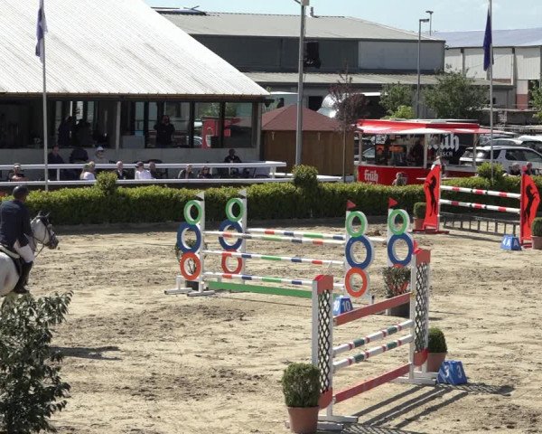 Reitturnier Bornheim Widdig 2023