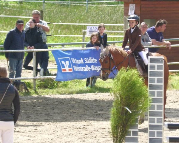 Reitturnier Billigheim 2023