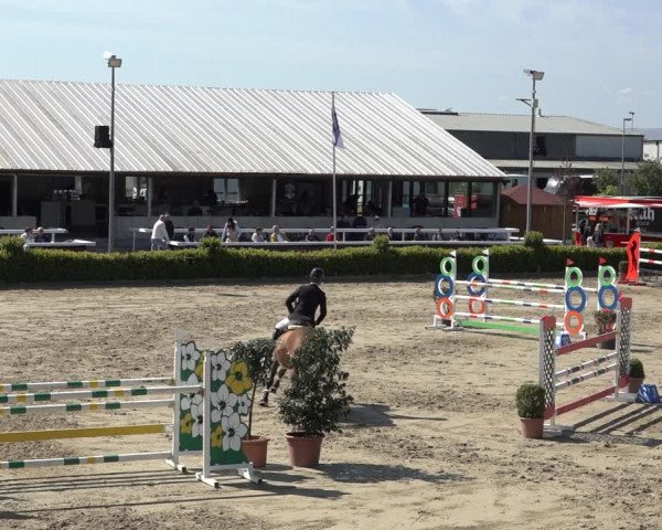 Reitturnier Bornheim Widdig 2023
