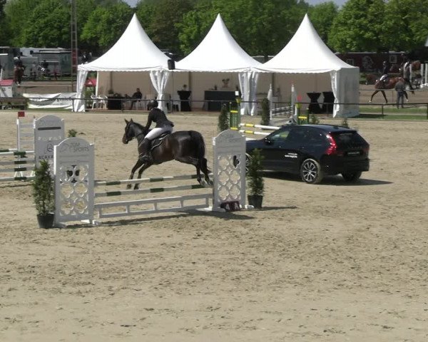 Reitturnier Hamm- Rhynern 2023