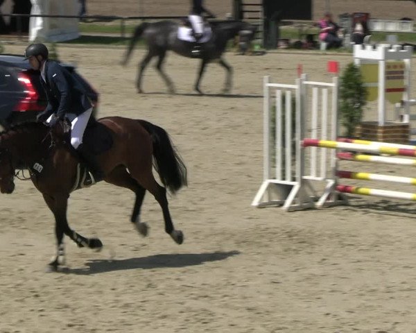 Reitturnier Hamm- Rhynern 2023