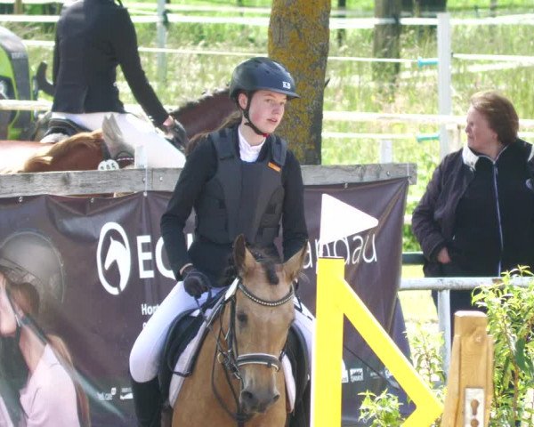 Reitturnier Billigheim 2023