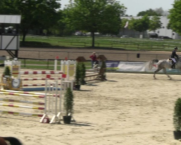 Reitturnier Hamm- Rhynern 2023