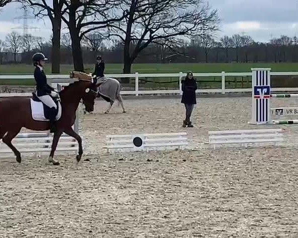 Video of Donavan 41