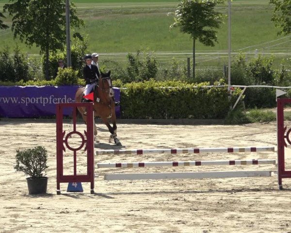 Reitturnier Bornheim Widdig 2023
