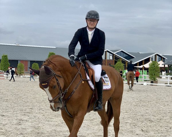 jumper Draganovic (Oldenburg show jumper, 2018, from Diamant de Plaisir 178 FIN)