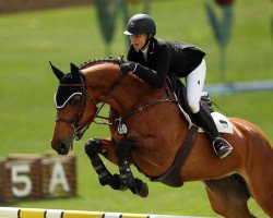 broodmare Chacco's Goldy (Oldenburg, 2005, from Chacco-Blue)