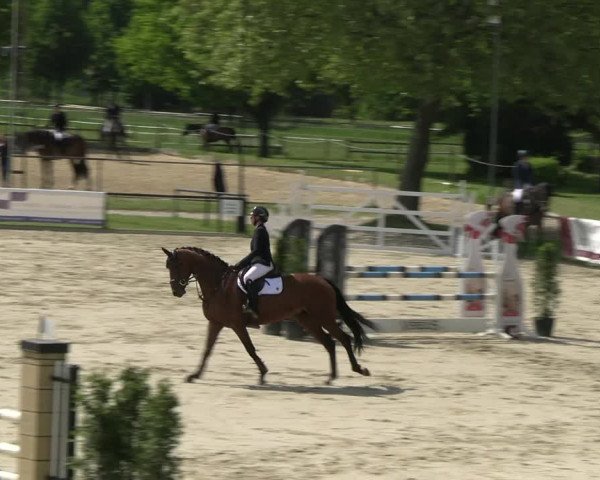 Reitturnier Hamm- Rhynern 2023