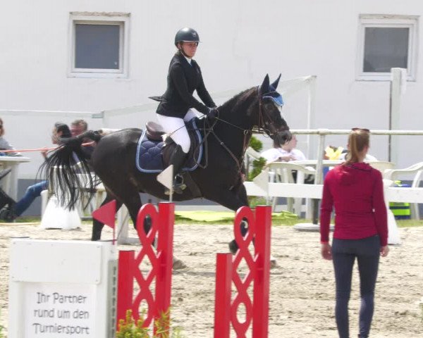 Reitturnier Billigheim 2023