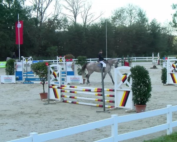 Reitturnier Isny-Rohrdorf 2021