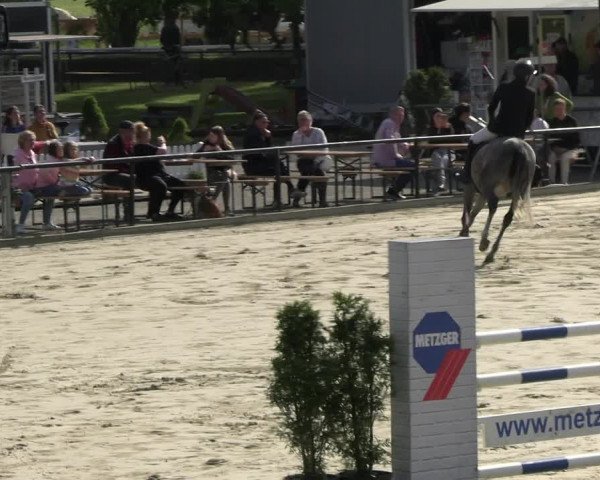 Reitturnier Hamm- Rhynern 2023