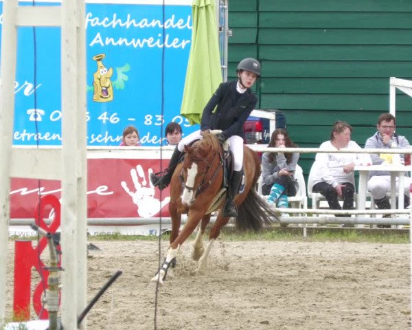 Reitturnier Billigheim 2023