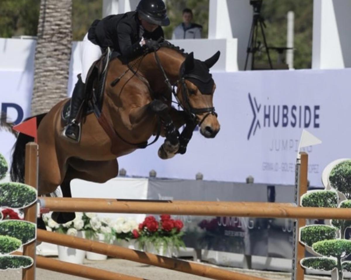 Spranghest Be Magic Cornet (Anglo-europeisk sportshest, 2016, fra Cornet Obolensky)