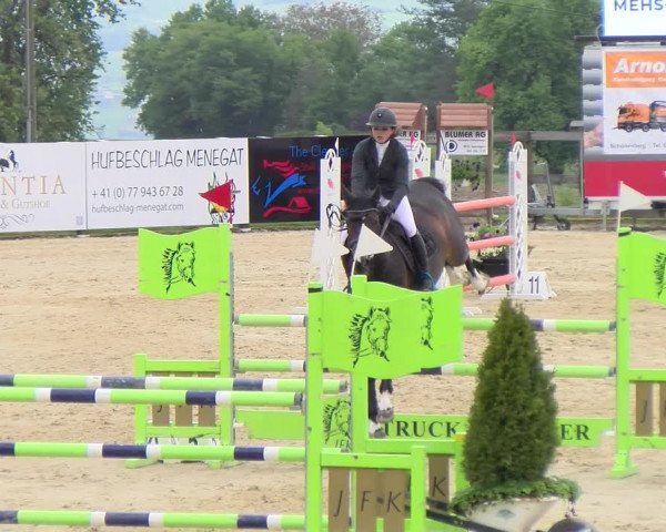 Reitturnier Wädenswil 2023