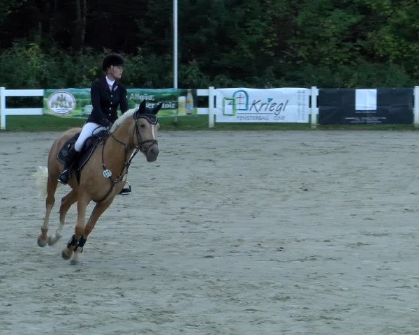 Reitturnier Isny-Rohrdorf 2021