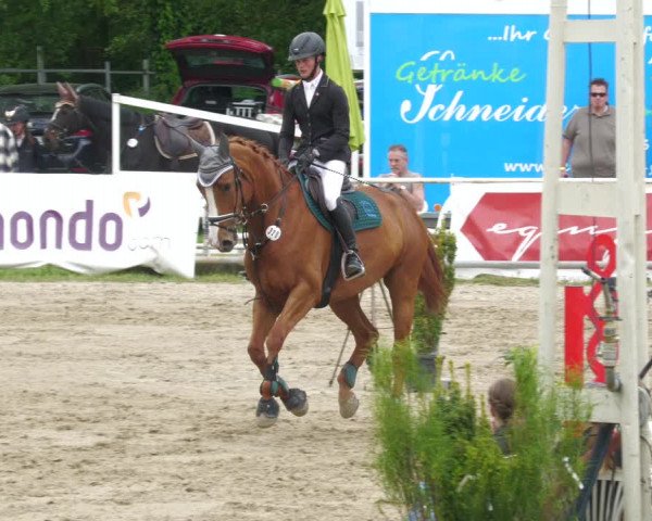 Reitturnier Billigheim 2023