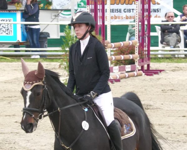 Reitturnier Billigheim 2023