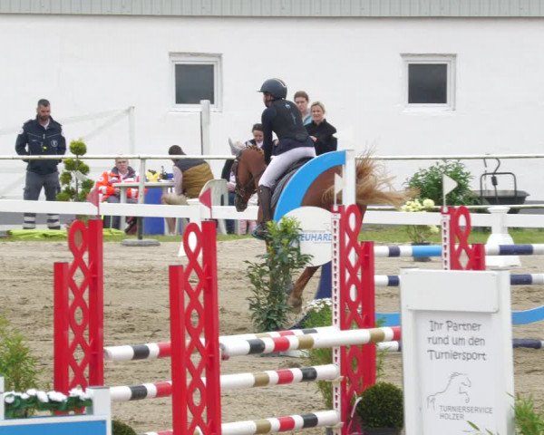 Reitturnier Billigheim 2023