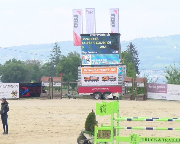 Reitturnier Wädenswil 2023