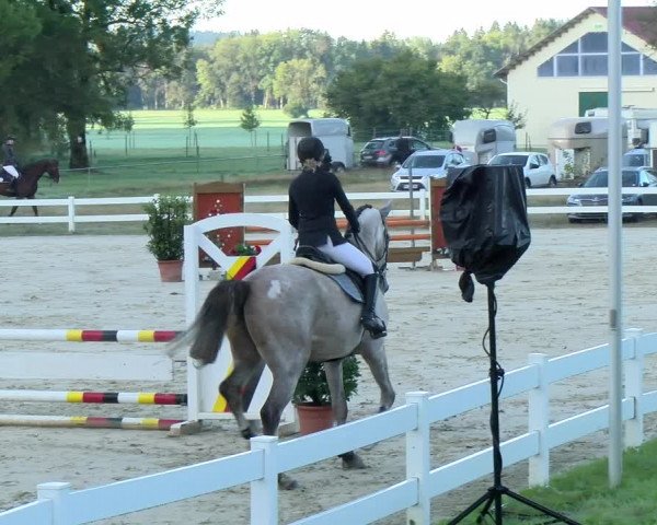 Reitturnier Isny-Rohrdorf 2021