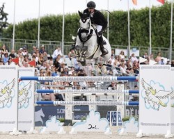Springpferd Great Britain V (Belgium Sporthorse, 2012, von Nabab de Rêve)