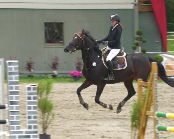 Reitturnier Billigheim 2023