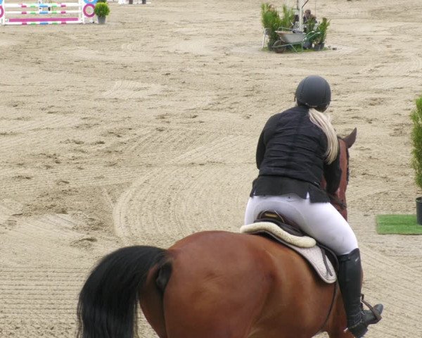 Reitturnier Billigheim 2023