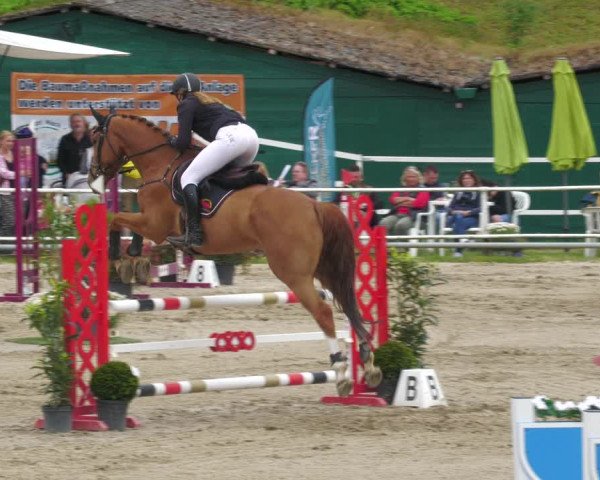 Reitturnier Billigheim 2023