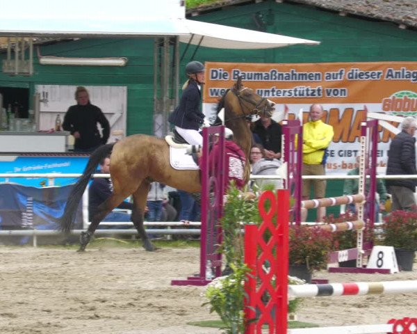 Reitturnier Billigheim 2023