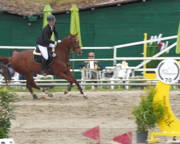 Reitturnier Billigheim 2023