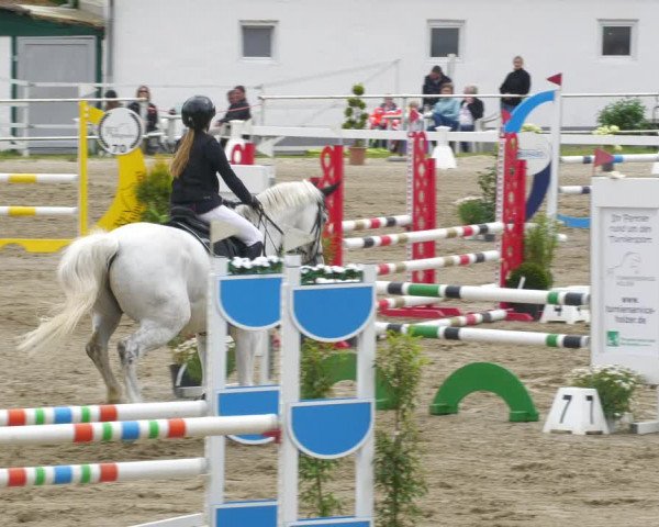 Reitturnier Billigheim 2023