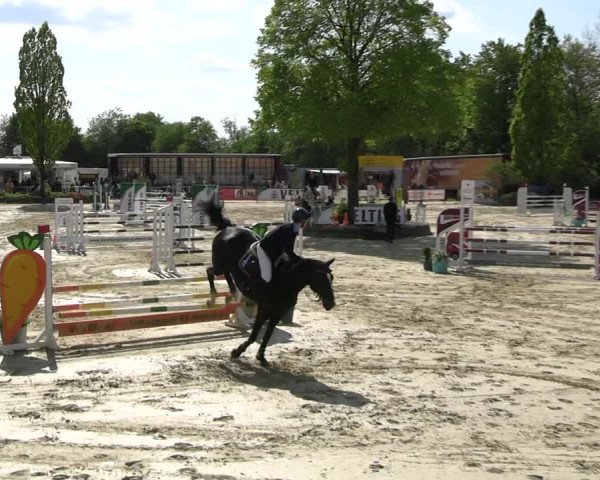 Reitturnier Hellefeld 2023