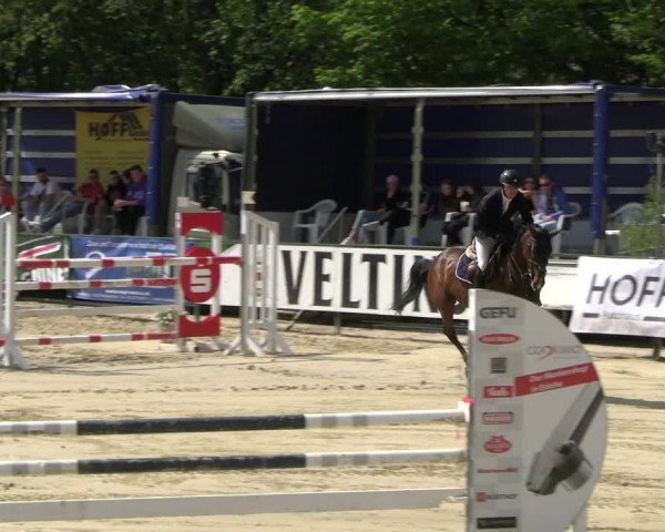 Reitturnier Hellefeld 2023