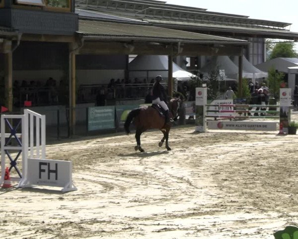 Reitturnier Hellefeld 2023