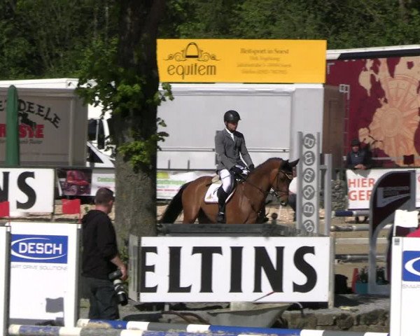 Reitturnier Hellefeld 2023