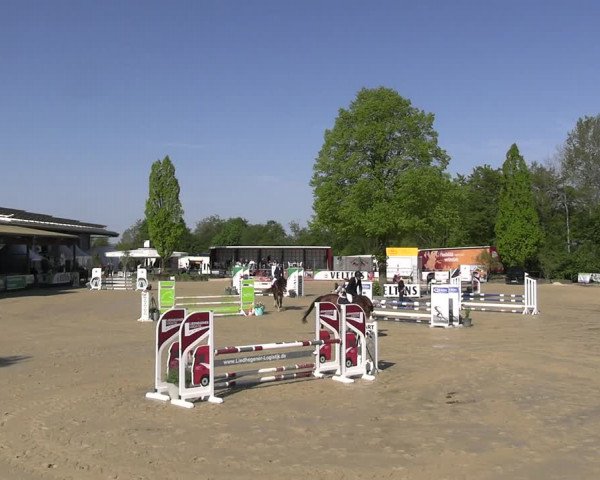 Reitturnier Hellefeld 2023