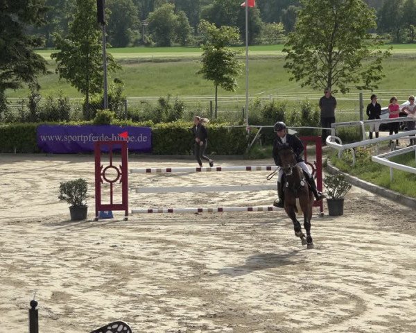 Reitturnier Bornheim Widdig 2023