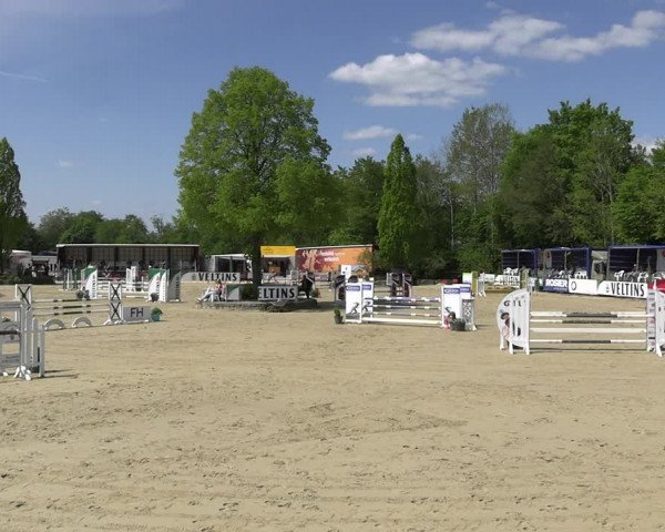 Reitturnier Hellefeld 2023
