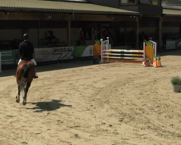 Reitturnier Hellefeld 2023