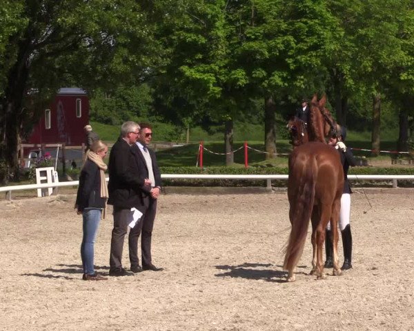 Reitturnier Hamm- Rhynern 2023