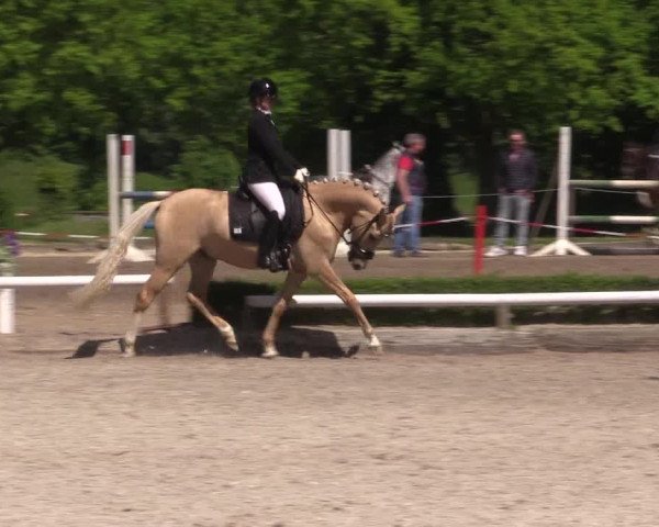 Reitturnier Hamm- Rhynern 2023