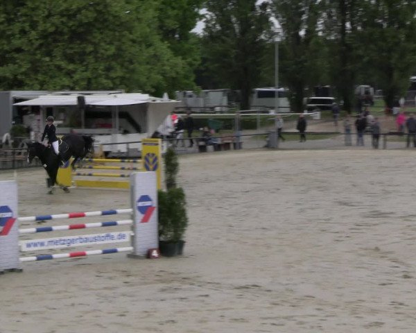 Reitturnier Hamm- Rhynern 2023