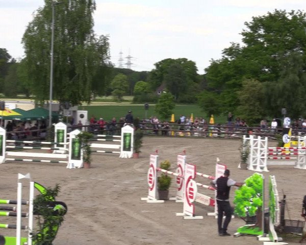 Reitturnier Kirchhellen 2023