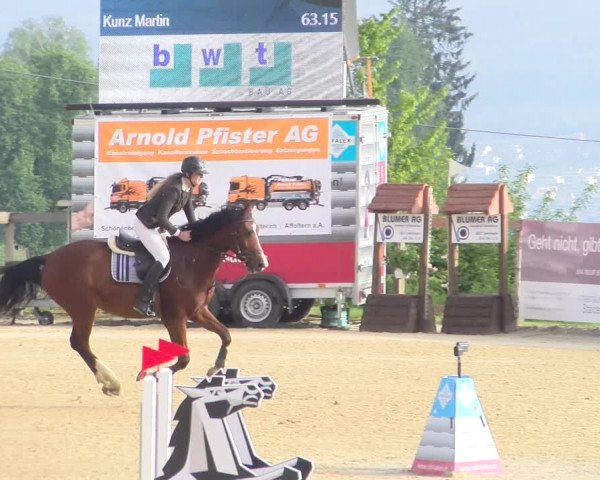 Reitturnier Wädenswil 2023