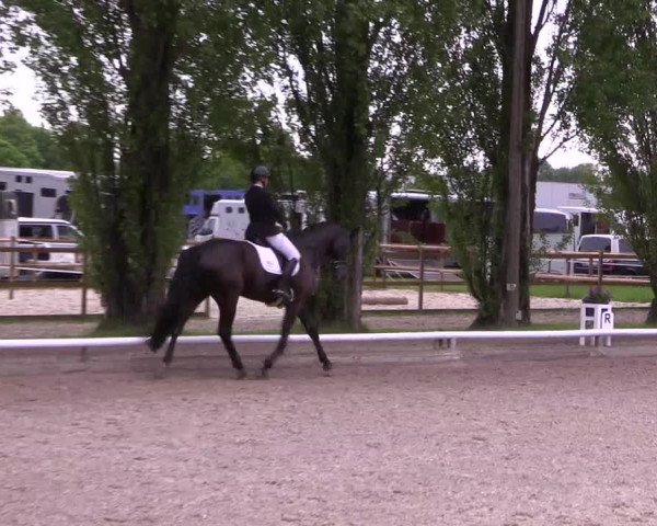 Reitturnier Hamm- Rhynern 2023