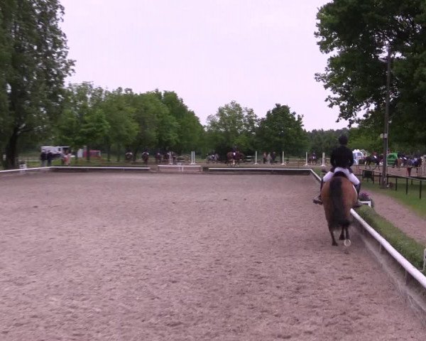 Reitturnier Hamm- Rhynern 2023
