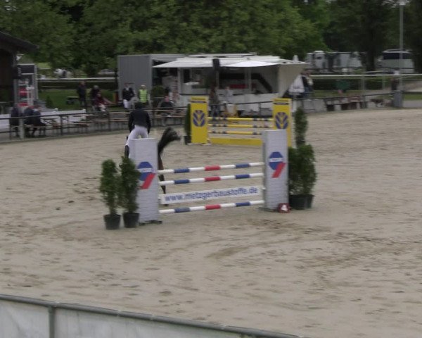 Reitturnier Hamm- Rhynern 2023